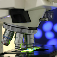 �̌W(xu��)���аl(f��)�O(sh��)��